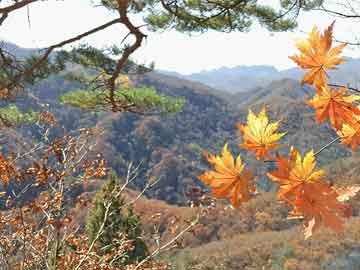 江苏南通新增本土确诊0例,江苏南通新增本土确诊病例